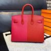 Birkin25 [Outer seam] Imported Epsom leather