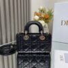 dior   lady  D-joy   26*13*5cm